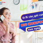 cac goi cuoc big mobifone