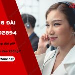 tong dai 19002894