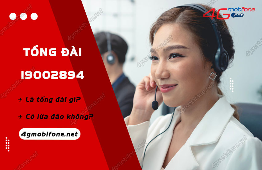 tong dai 19002894