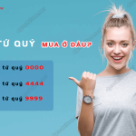 sim tu quy 100k mua o dau