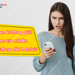 vi sao khong gui duoc tin nhan cho tong dai mobifone