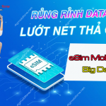 eSim Big data mobifone