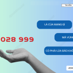 Dau so 028 999 la mang gi ma vung o dau