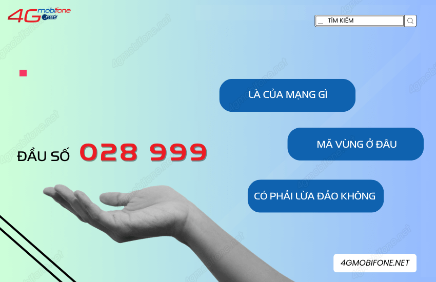 Dau so 028 999 la mang gi ma vung o dau