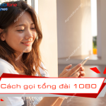 tong dai 1080 la gi