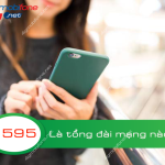 tong dai 1595