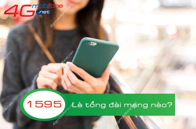 tong dai 1595