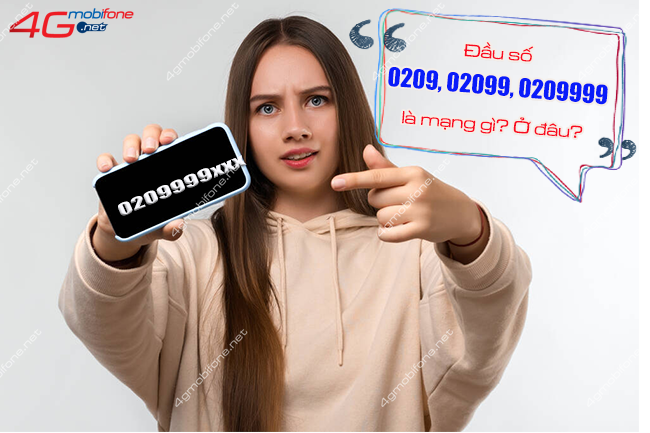 dau so 0209 020999 o dau dau so 0209 020999 la mang gi