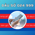 024 999 la mang gi