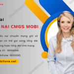 khieu nai chuyen mang giu so mobifone