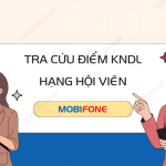 4 cach tra cuu diem ket noi dai lau MobiFone