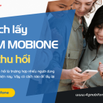 cach lay lai sim mobifone bi thu hoi