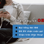 chan dau so 028