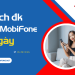 dk 3g mobi ngay