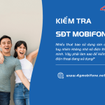 kiem tra sdt mobifone