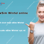 cach mua esim Wintel online tai nha