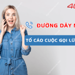 so dien thoai duong day nong to cao lua dao