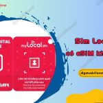 sim local co esim khong