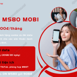 goi cuoc ms80 mobi