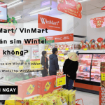 vinmart co ban sim wintel khong