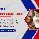 cach dang ky nct109 mobifone