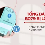 Tong dai 8079 bi loi