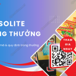 solite trung thuong 2024